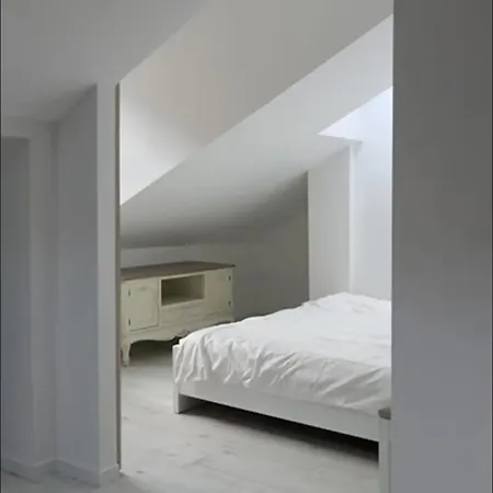 The Henhouse - A Modern Loft In The Very Center * Рига